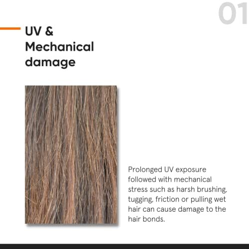 Minimalist Hair Serum for Strengthening & Repairing Damaged Hair | Patent Pending Maleic Bond Repair Complex 05% | With Amino Acids, Argan Oil & Squalane | For Women & Men | 1.7 Fl Oz Avelisse