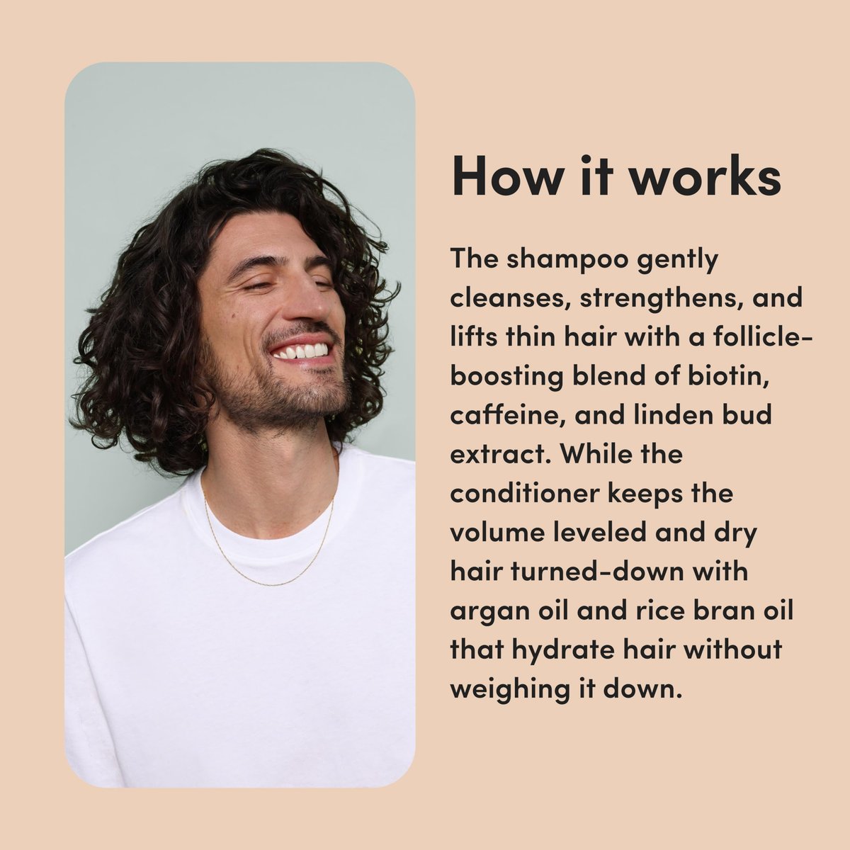 hims Max Volume Shampoo & Conditioner Set - Biovolume 128, Biotin, & Argan Oil for Fine Hair - Sulfate-Free, Paraben-Free, Vegan - Citrus Spice Scent - 6.4 Fl Oz Each Avelisse
