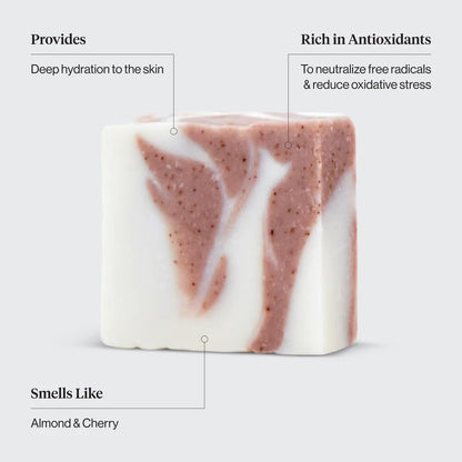 Kitsch Shea Butter Exfoliating Body Wash Bar Soap – Super Hydrating Plant-Based Body Scrub, Paraben & Sulfate-Free, Vegan, 4 oz