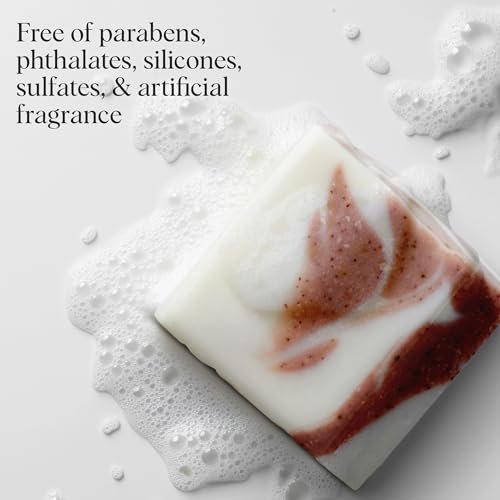 Kitsch Shea Butter Exfoliating Body Wash Bar Soap – Super Hydrating Plant-Based Body Scrub, Paraben & Sulfate-Free, Vegan, 4 oz - görsel 12