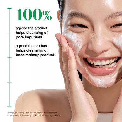 Anua Heartleaf Quercetinol Pore Deep Cleansing Foam - Hydrating Daily Facial Cleanser for Pore Refining, Gentle Foaming with BHA, Korean Skincare, 5.07 fl.oz. Avelisse