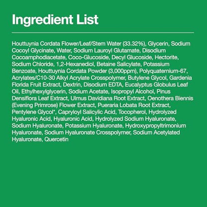Anua Heartleaf Quercetinol Pore Deep Cleansing Foam - Hydrating Daily Facial Cleanser for Pore Refining, Gentle Foaming with BHA, Korean Skincare, 5.07 fl.oz. Avelisse