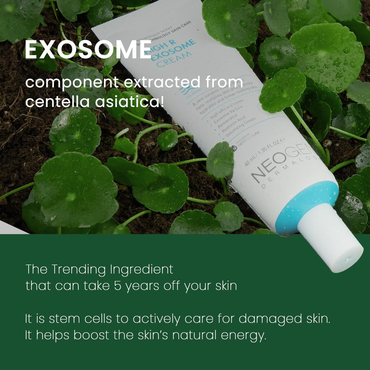 NEOGEN by DERMALOGY High R Exosome Cream – Hydrating Face Moisturizer with Hyaluronic Acid, Peptides & Resveratrol – Korean Skincare for Nourishment & Elasticity, 1.36 fl oz Avelisse
