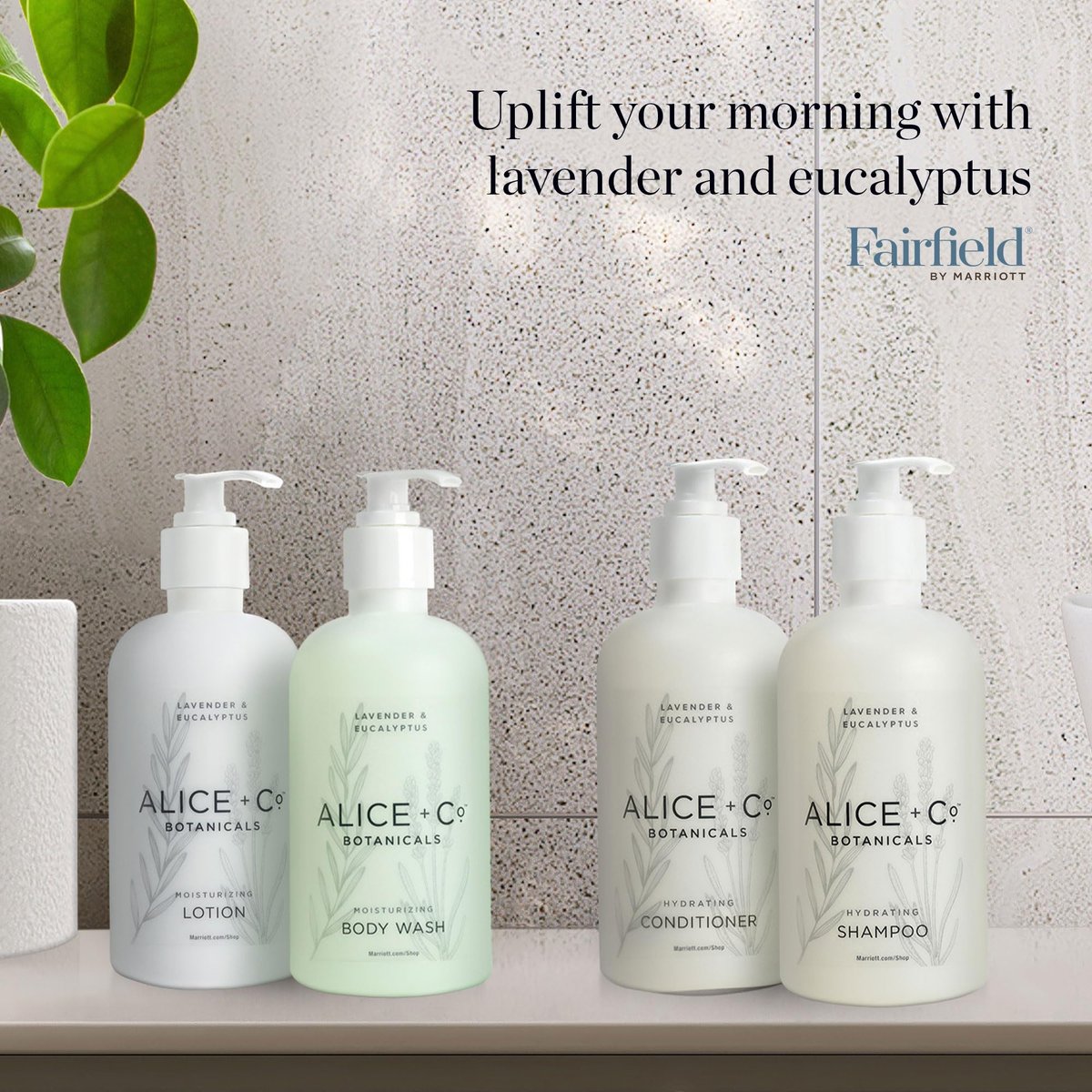 Alice + Co. Lavender & Eucalyptus Body Wash - 8.5 oz Hotel Bath Amenity Inspired by Fairfield by Marriott Avelisse