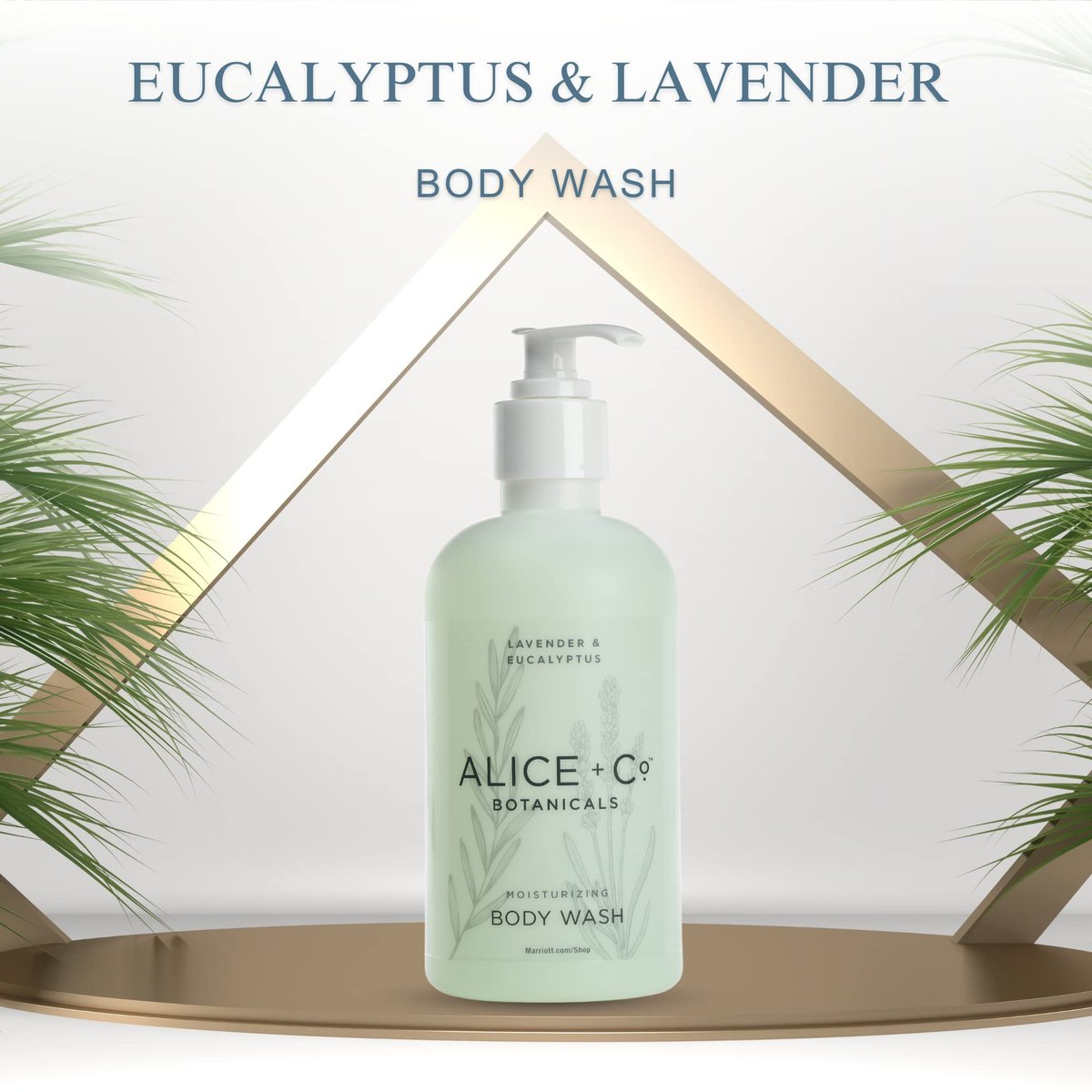 Alice + Co. Lavender & Eucalyptus Body Wash - 8.5 oz Hotel Bath Amenity Inspired by Fairfield by Marriott Avelisse