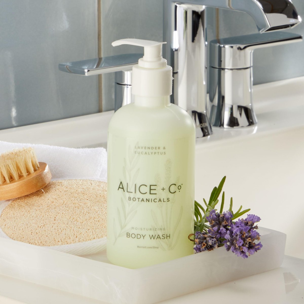 Alice + Co. Lavender & Eucalyptus Body Wash - 8.5 oz Hotel Bath Amenity Inspired by Fairfield by Marriott Avelisse