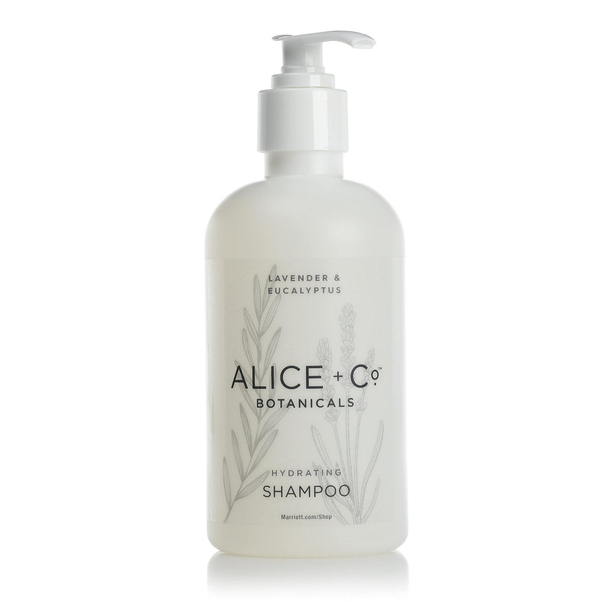 Alice + Co. Lavender & Eucalyptus Shampoo – 8.5 oz Hotel Bath Amenity Inspired by Fairfield by Marriott Avelisse