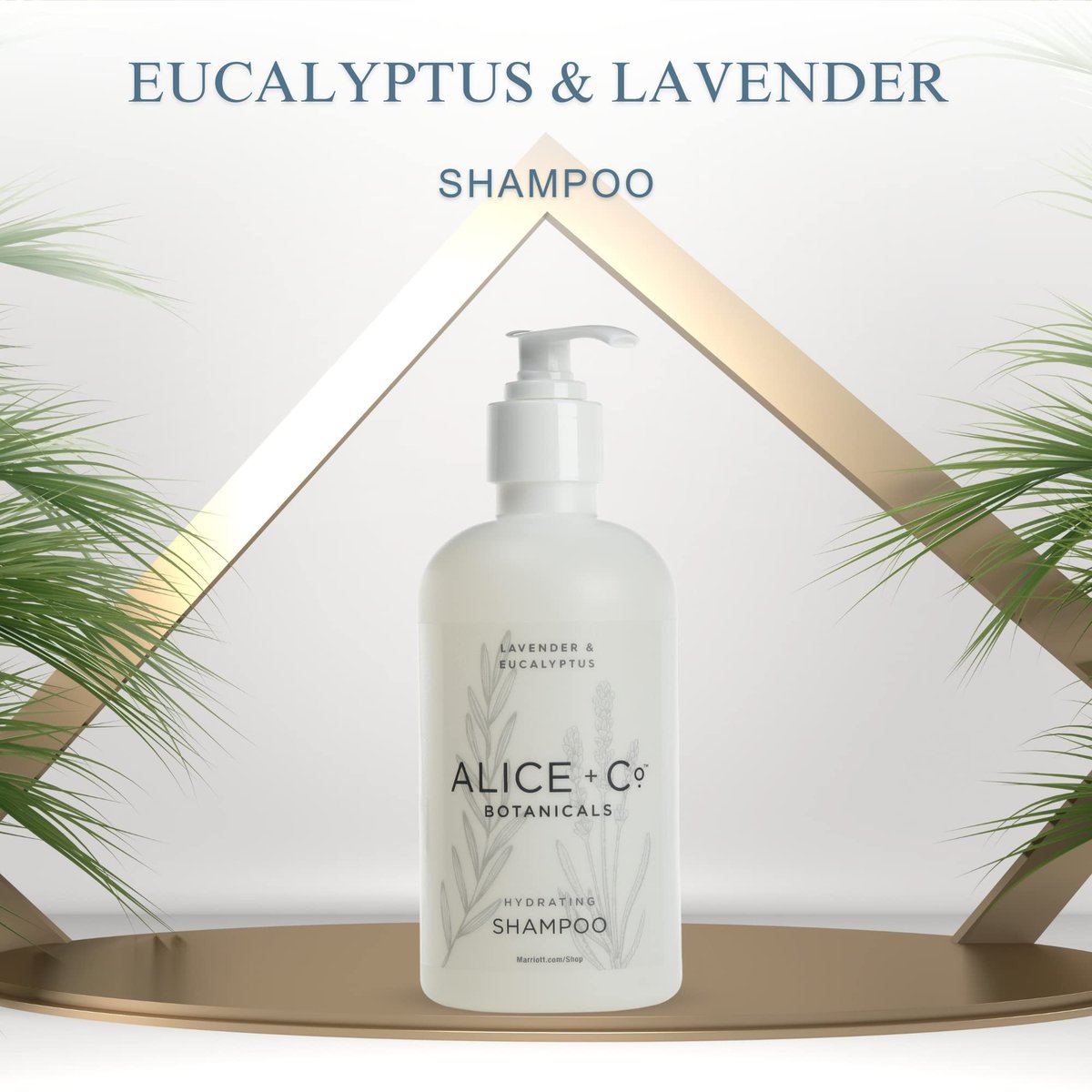 Alice + Co. Lavender & Eucalyptus Shampoo – 8.5 oz Hotel Bath Amenity Inspired by Fairfield by Marriott Avelisse