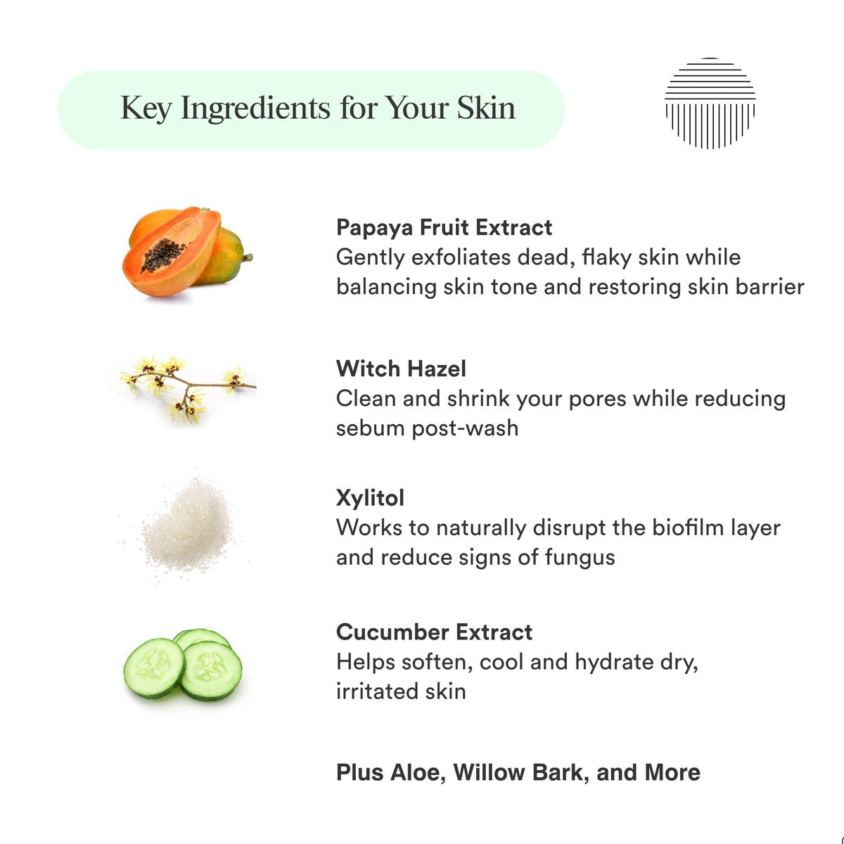 Dermazen Purifying Facial Cleanser for Red, Flaky Skin | Steroid-Free & Malassezia-Safe | Reduces Visible Redness & Buildup | Step 1 of Dermazen System | 4 fl oz Avelisse