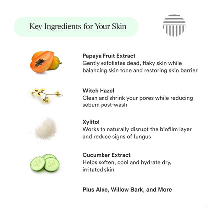 Dermazen Purifying Facial Cleanser for Red, Flaky Skin | Steroid-Free & Malassezia-Safe | Reduces Visible Redness & Buildup | Step 1 of Dermazen System | 4 fl oz Avelisse