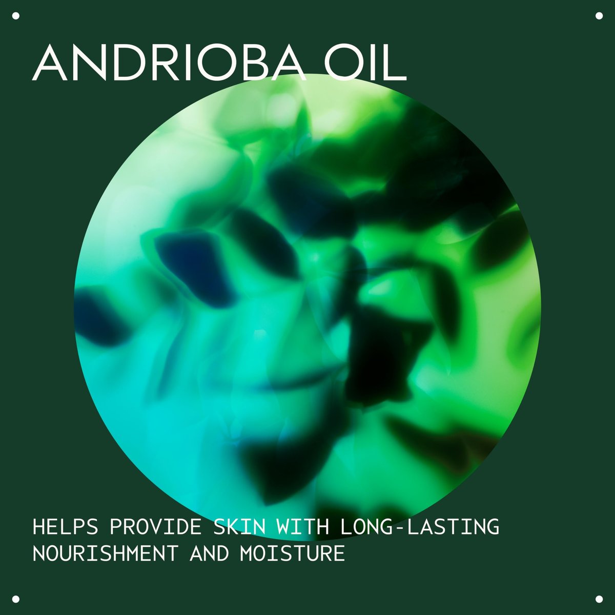 Aveda Hand Relief Renewal Serum – Hand Treatment Serum for Dry Fine Lines & Visible Texture, 1.5 Fl Oz Avelisse