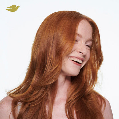 Dove Advanced Dry Shampoo Fresh Coconut - Refresh & Revive Hair Without Water, 7.3 oz