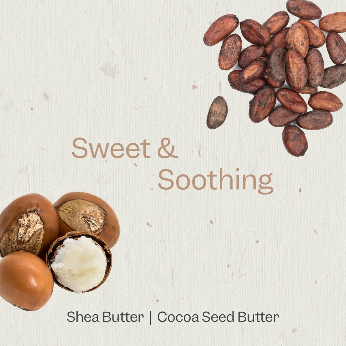 Renpure Cocoa Butter & Shea Butter Ultra-Hydrating Body Lotion – Rich & Creamy Formula for Long Lasting Hydration – For Dry to Very Dry Skin – 24 Fl Oz - görsel 5