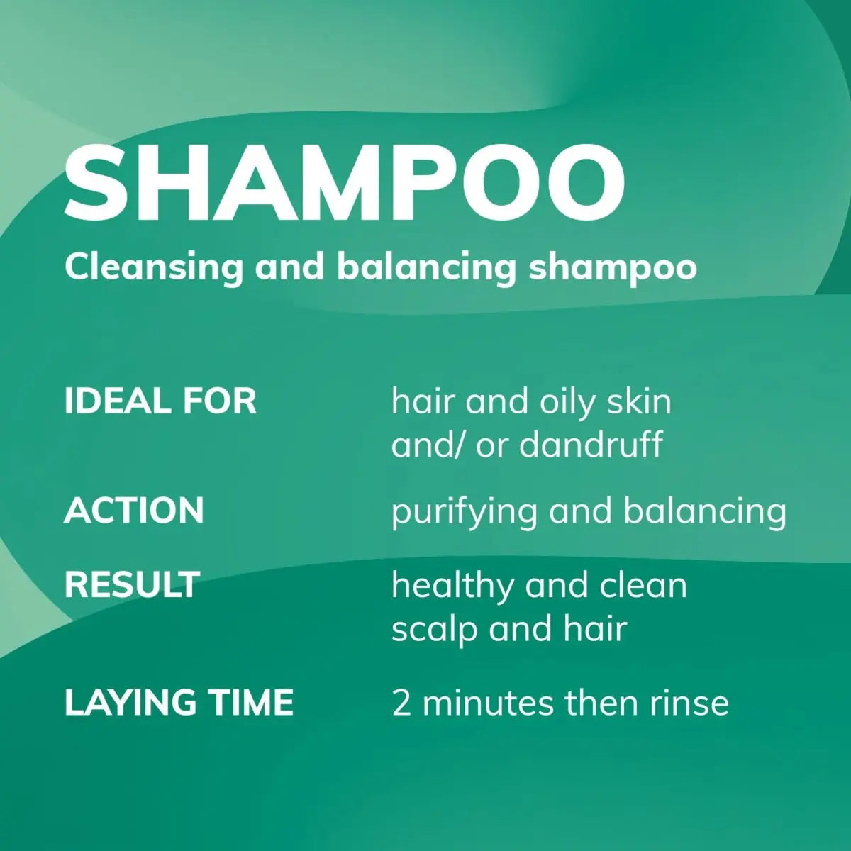 Fanola Pure Balance Anti Dandruff Scalp Shampoo - Purifying Treatment with B & E Vitamins for Oily Hair & Itchy Skin, 33.8 fl oz Avelisse