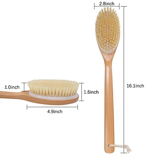 OWIIZI Bath Brush with Soft Natural Bristles & Antiskid Wooden Long Handle - Shower Body Scrubber for Wet or Dry Exfoliating, Back Scrub Deep Cleanse Avelisse