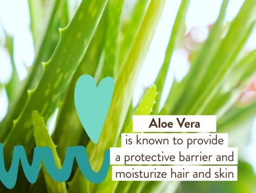 Babo Botanicals Eucalyptus Remedy Shampoo & Wash - Invigorating Eucalyptus & Rosemary Essential Oils - EWG Verified - Vegan & Cruelty Free - 16 Fl Oz Avelisse