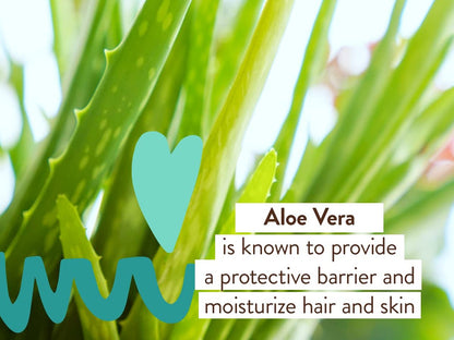 Babo Botanicals Eucalyptus Remedy Shampoo & Wash - Invigorating Eucalyptus & Rosemary Essential Oils - EWG Verified - Vegan & Cruelty Free - 16 Fl Oz Avelisse