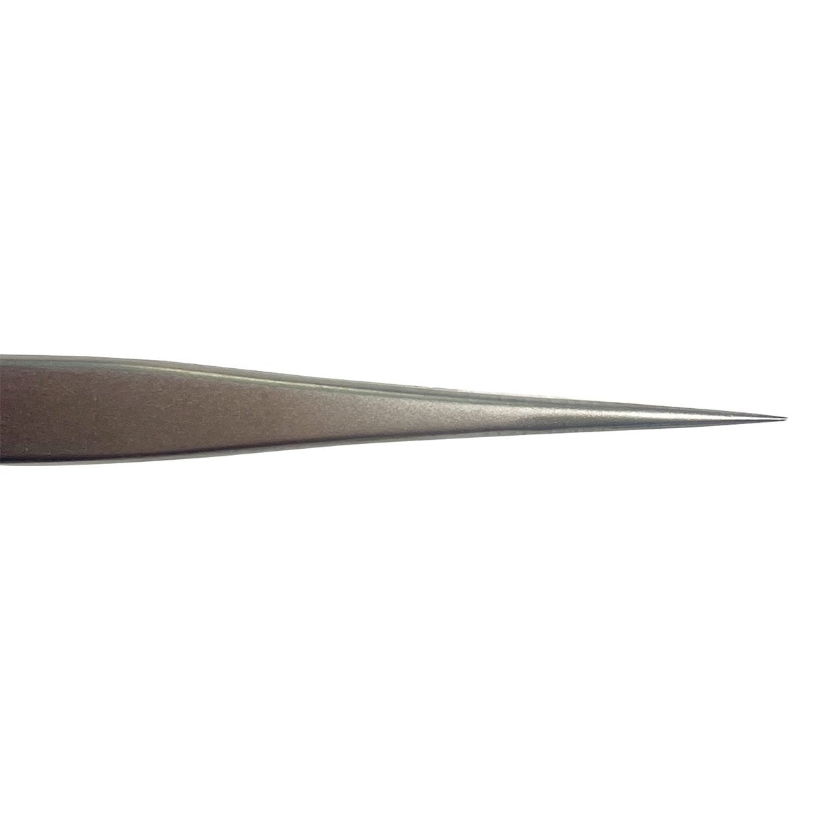 CHAZON Stainless Steel Straight Point Tweezers – Precision Eyebrow & Ingrown Hair Tweezers Avelisse