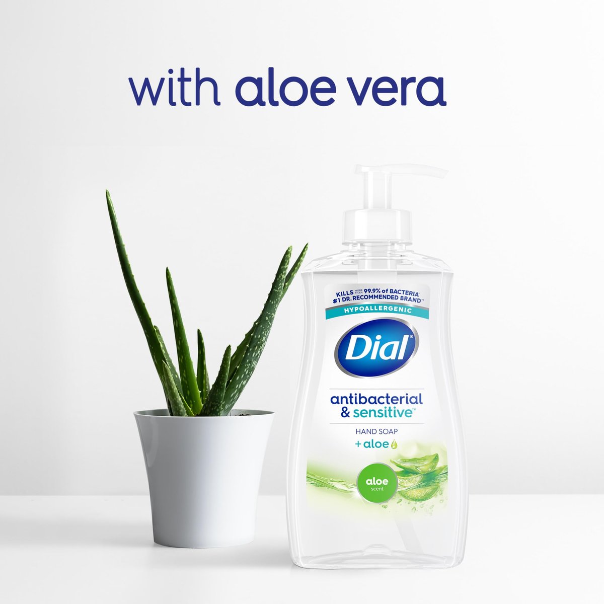 Dial Antibacterial Defense Liquid Hand Soap + Aloe, Aloe Scent, 11 Fl Oz (Pack of 12), Dermatologist-Tested Hand Wash, Gentle Formula Avelisse