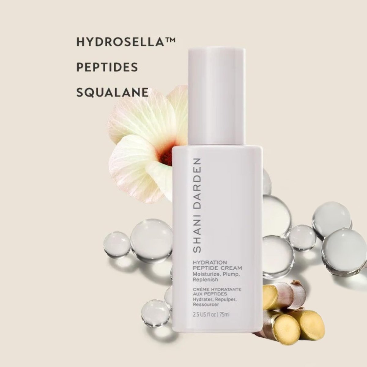 Shani Darden Hydration Peptide Cream – Oil-Free Face Moisturizer with Peptides, Squalane, Niacinamide & Ceramides for Normal to Dry Skin, 2.5 fl oz Avelisse
