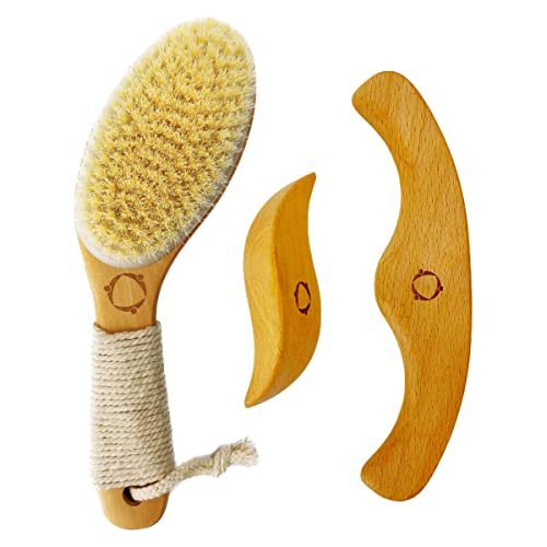 Dry Brushing Body Brush for Lymphatic Drainage with Contoured Handle & Wood Therapy Massage Tools - Vegan, Anti-Cellulite, Body Sculpting Kit for Sensitive Skin Avelisse