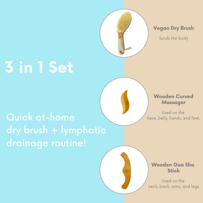 Dry Brushing Body Brush for Lymphatic Drainage with Contoured Handle & Wood Therapy Massage Tools - Vegan, Anti-Cellulite, Body Sculpting Kit for Sensitive Skin Avelisse