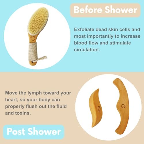 Dry Brushing Body Brush for Lymphatic Drainage with Contoured Handle & Wood Therapy Massage Tools - Vegan, Anti-Cellulite, Body Sculpting Kit for Sensitive Skin Avelisse