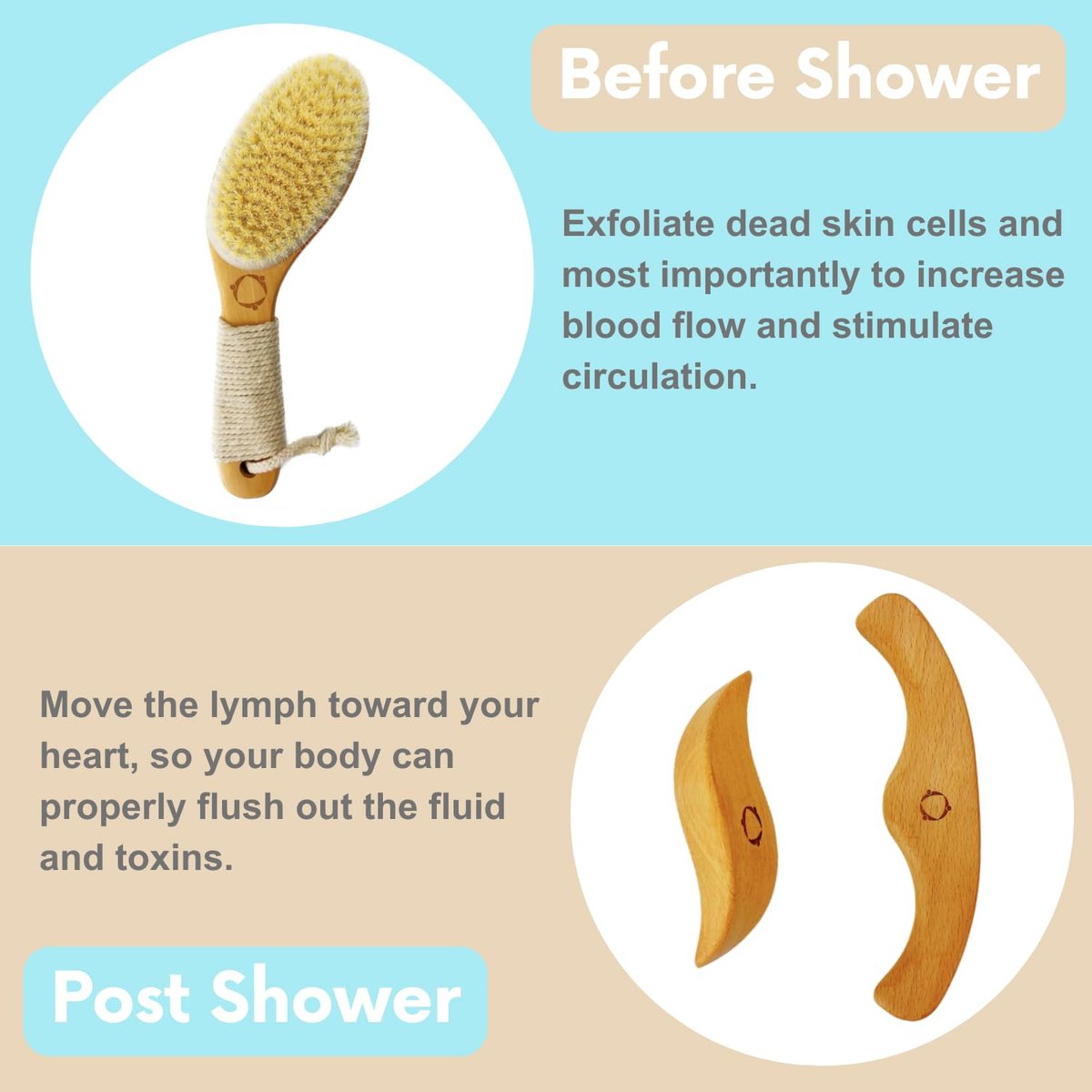 Dry Brushing Body Brush for Lymphatic Drainage with Contoured Handle & Wood Therapy Massage Tools - Vegan, Anti-Cellulite, Body Sculpting Kit for Sensitive Skin Avelisse