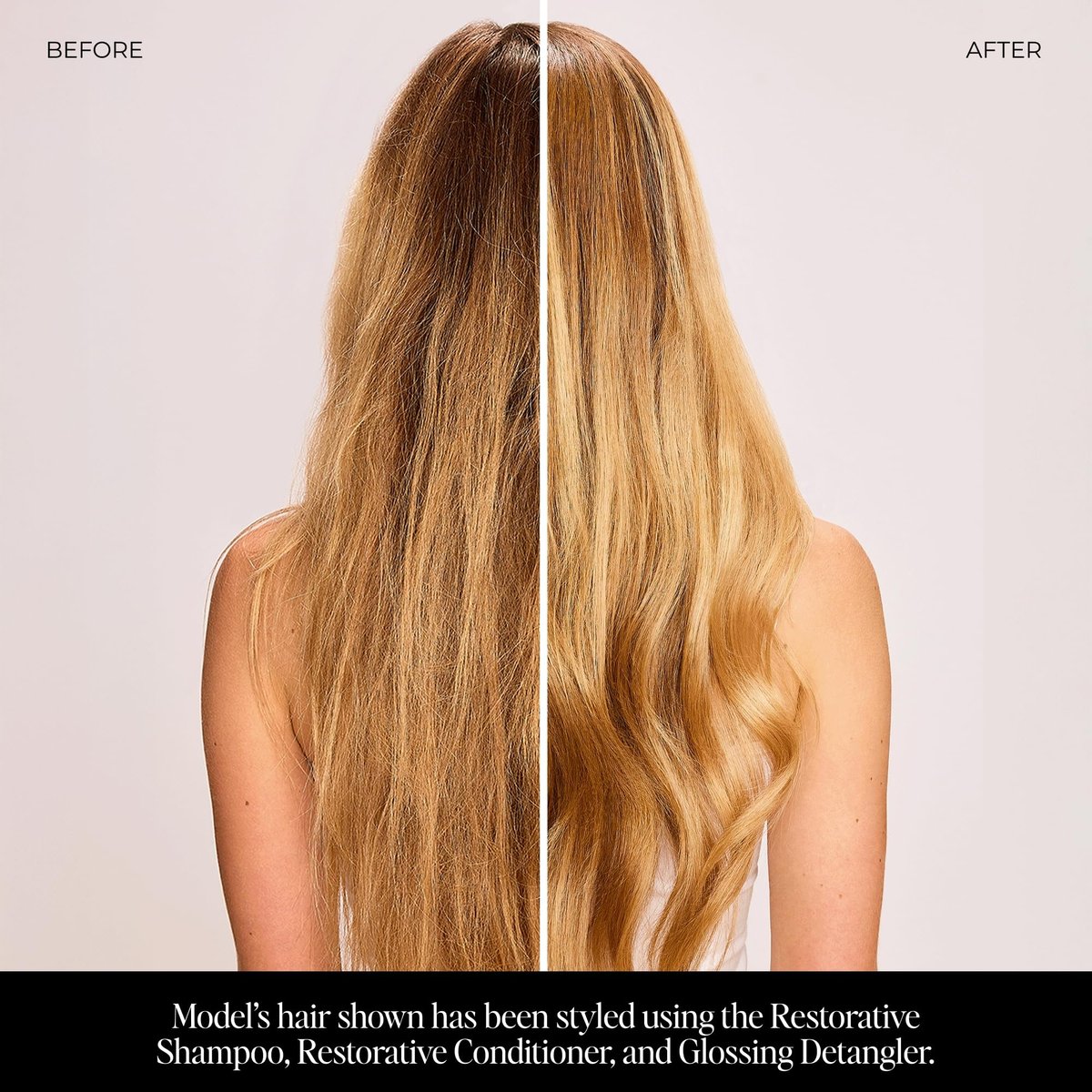 LolaVie Restorative Conditioner - 8.5 oz - Hydrates, Strengthens & Fights Frizz for Softer, Smoother Hair - Color Safe - All Hair Types Avelisse