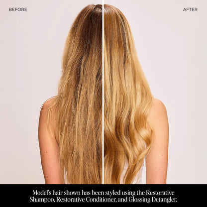 LolaVie Restorative Conditioner - 8.5 oz - Hydrates, Strengthens & Fights Frizz for Softer, Smoother Hair - Color Safe - All Hair Types Avelisse