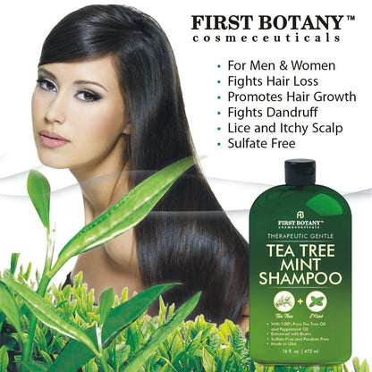First Botany Tea Tree Oil Shampoo 16 fl oz - Anti Dandruff & Natural Scalp Cleanser for Dry, Itchy, Flaky Scalp - Sulfate Free, Paraben Free - Prevents Head Lice & Thinning Avelisse