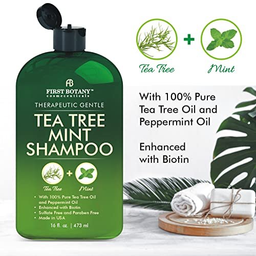 First Botany Tea Tree Oil Shampoo 16 fl oz - Anti Dandruff & Natural Scalp Cleanser for Dry, Itchy, Flaky Scalp - Sulfate Free, Paraben Free - Prevents Head Lice & Thinning Avelisse
