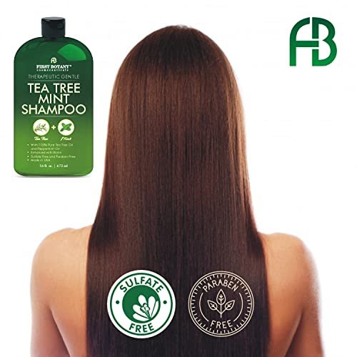 First Botany Tea Tree Oil Shampoo 16 fl oz - Anti Dandruff & Natural Scalp Cleanser for Dry, Itchy, Flaky Scalp - Sulfate Free, Paraben Free - Prevents Head Lice & Thinning Avelisse