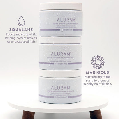 ALURAM Purple Hydrate & Repair Hair Treatment - Intense Moisture Infusion for Silver & Color Treated Hair, 11 Fl Oz Avelisse