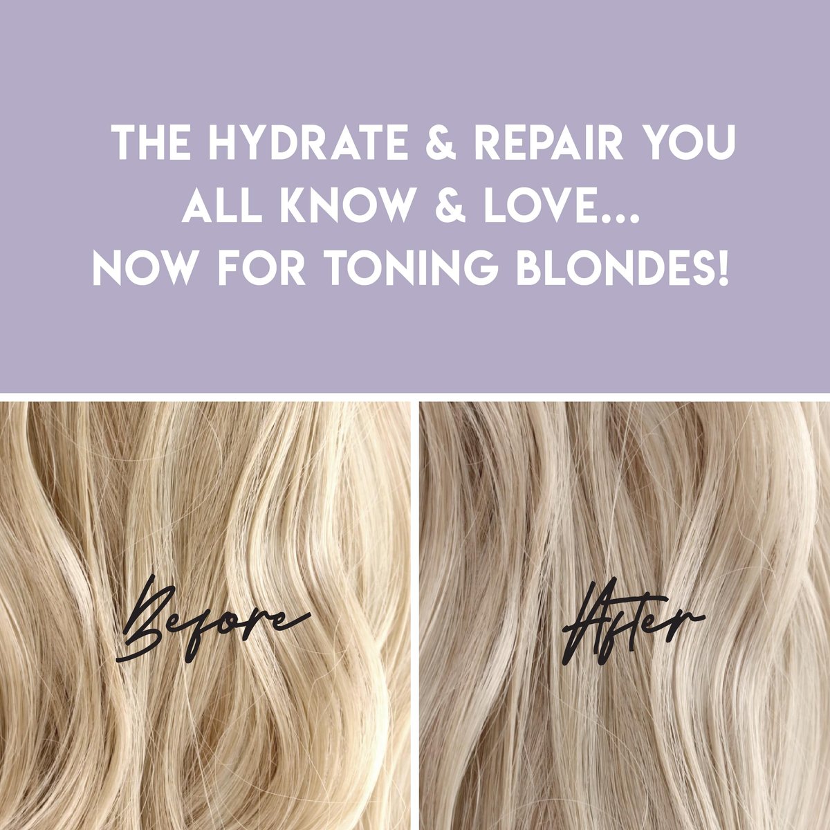 ALURAM Purple Hydrate & Repair Hair Treatment - Intense Moisture Infusion for Silver & Color Treated Hair, 11 Fl Oz Avelisse