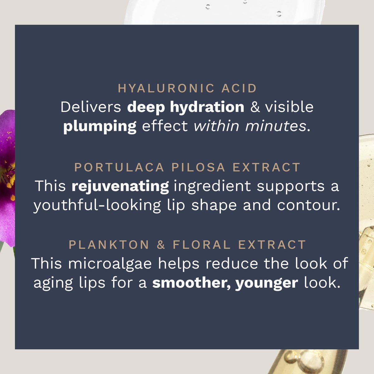 City Lips Night Oil - Overnight Lip Plumping & Hydrating Treatment with Hyaluronic Acid & Plant Extracts Avelisse