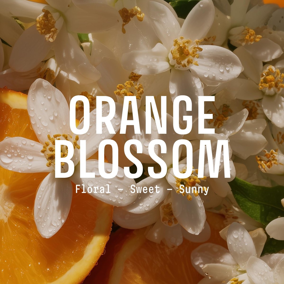 Panier des Sens Orange Blossom Eau de Toilette Roll-On - Sweet & Floral Mini Perfume for Women, Light Travel Size 0.3 Fl Oz Avelisse