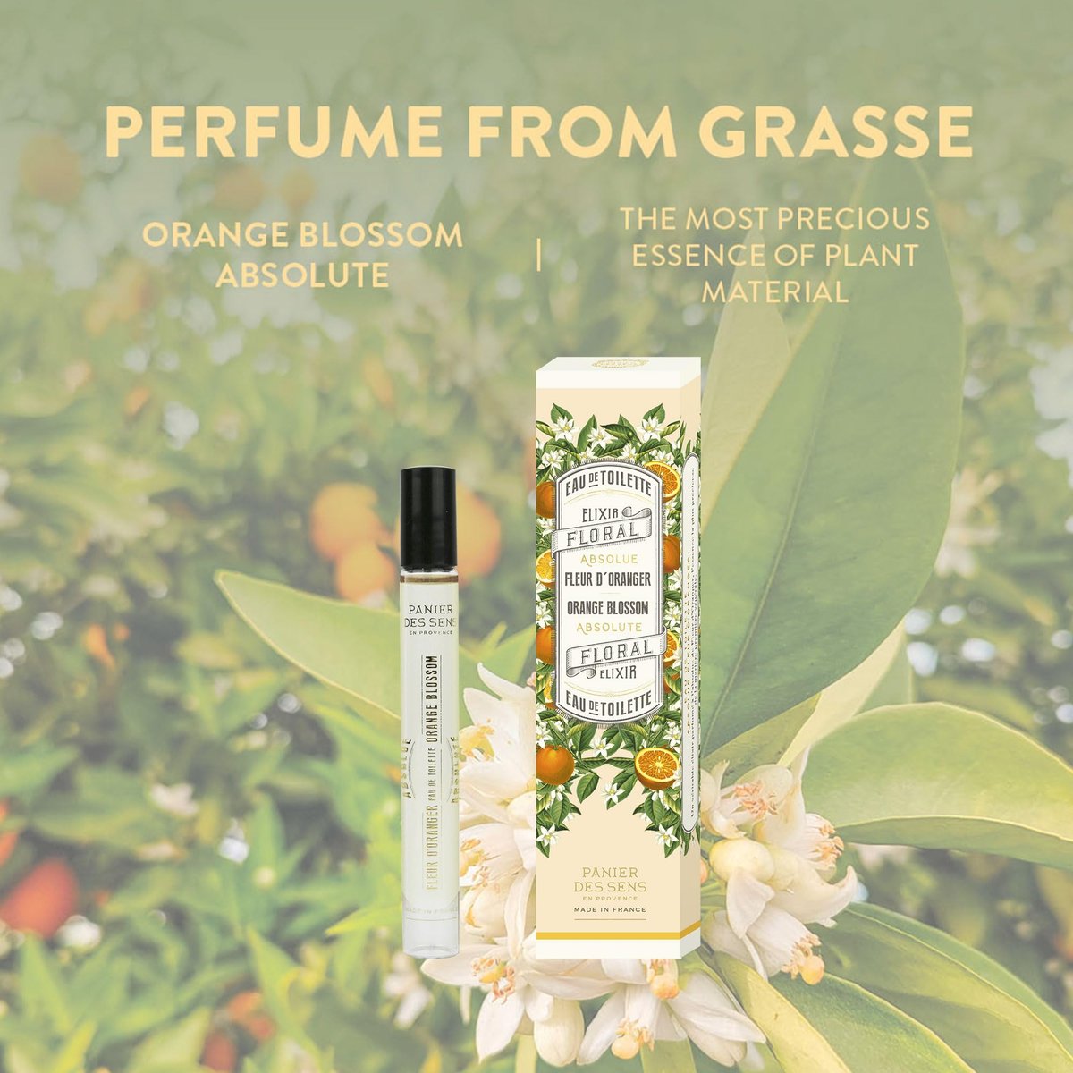 Panier des Sens Orange Blossom Eau de Toilette Roll-On - Sweet & Floral Mini Perfume for Women, Light Travel Size 0.3 Fl Oz Avelisse