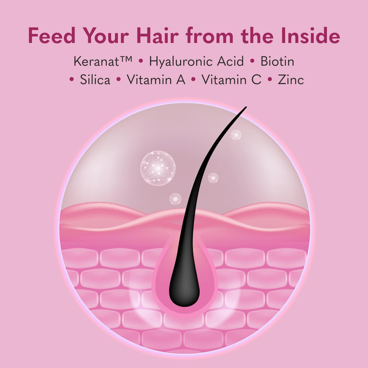 Garden of Life Hair Growth DuoCaps for Women and Men, 30ct – Vitamin Supplement for Thicker, Fuller Hair Avelisse