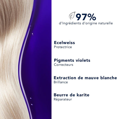 PHYTO PURPLE Repairing No Yellow Mask – Deep Hydration for Gray, White & Bleached Blonde Hair – 6.76 fl oz