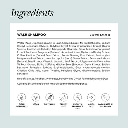 Arey Wash Shampoo for Women & Men - Delay & Reduce Signs of Aging Grey Hair, Promote Healthier Strands, Vegan & Cruelty-Free (8.45 Fl Oz, 30 Uses) Avelisse