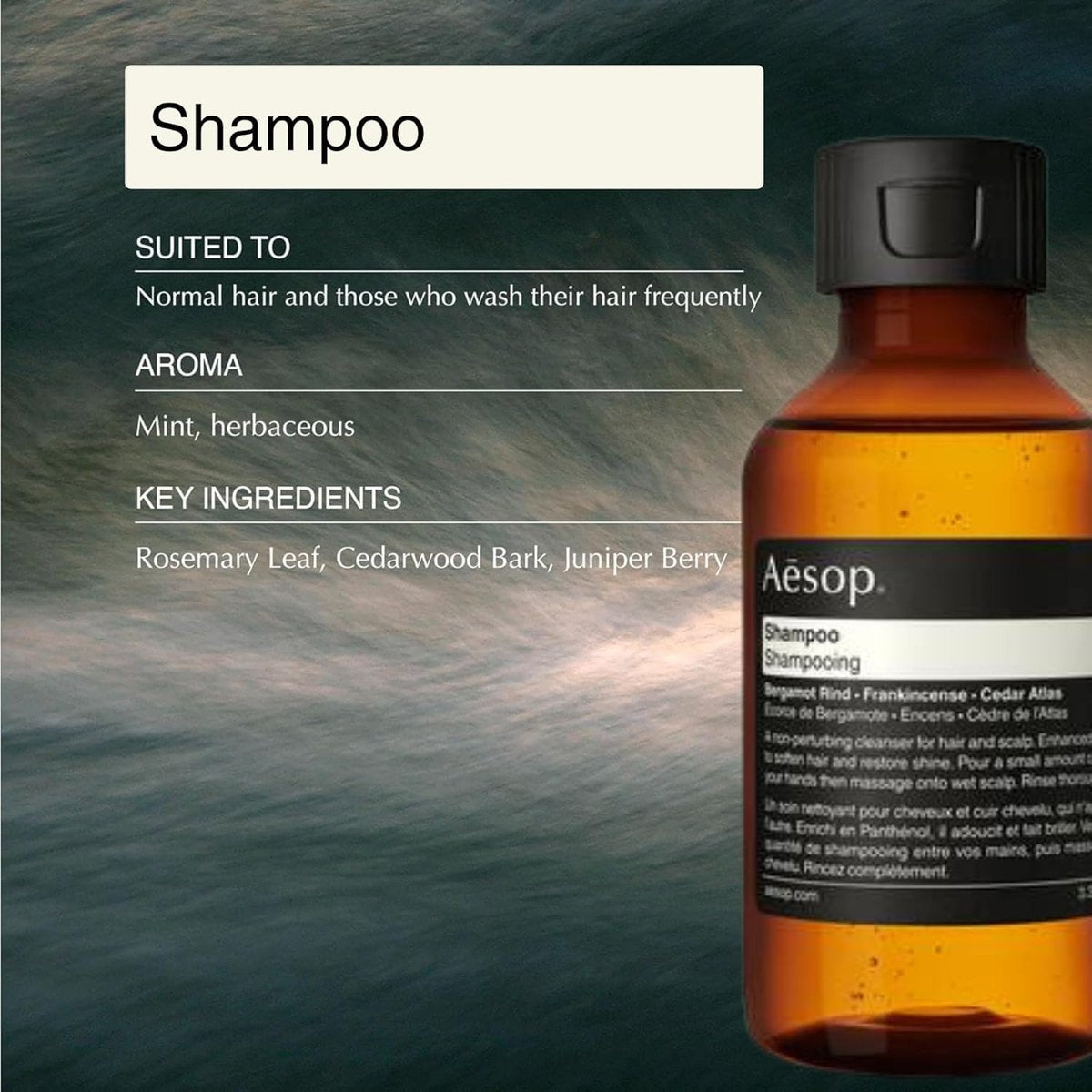 Aesop Arrival Travel Set (4-Piece) – Shampoo, Conditioner, Geranium Leaf Body Cleanser & Rind Concentrate Body Balm – 1.7 oz/50 mL Each – Gift Set with Reusable Canvas Bag Avelisse