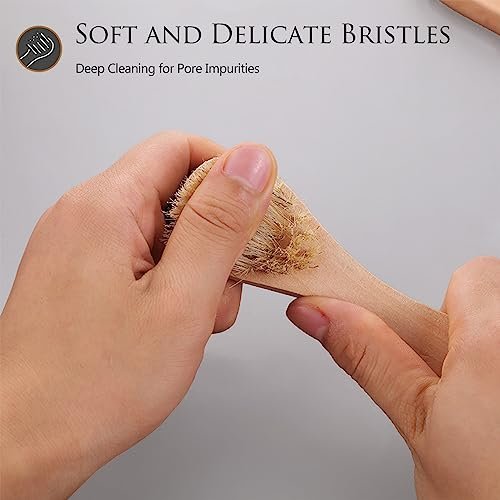 Kootinn 2 Pack Mini Dry Brush - Natural Bristle Small Body Brush for Exfoliating Face, Neck, Chest & Nails - Soft Skin Care - görsel 10