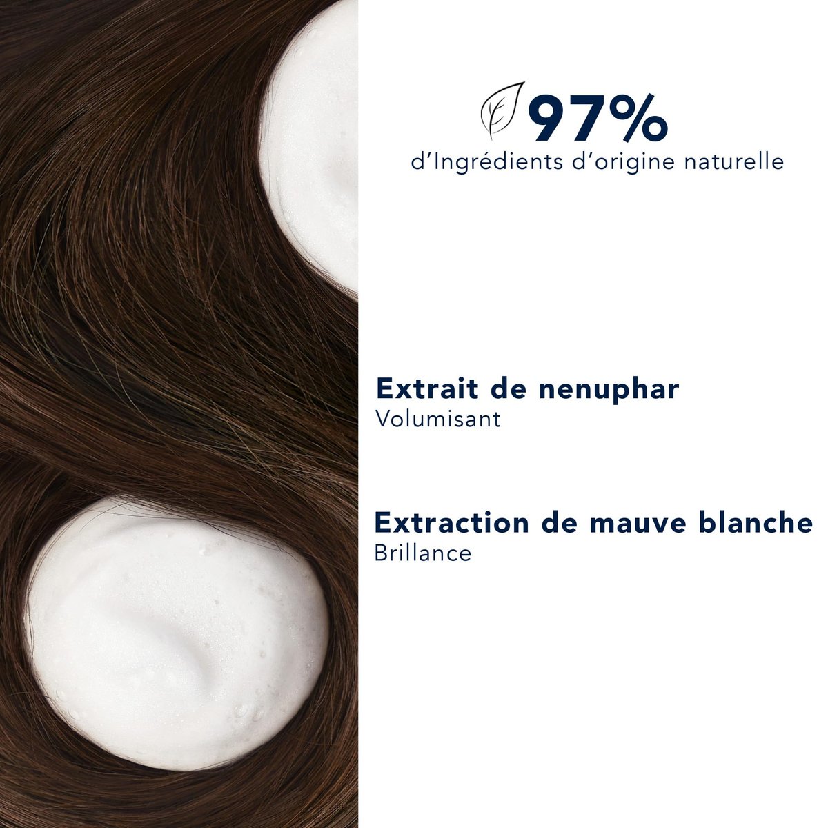 PHYTO VOLUME Volumizing Conditioner for Fine, Thin Hair - Silicone Free, 5.91 fl. oz. Avelisse