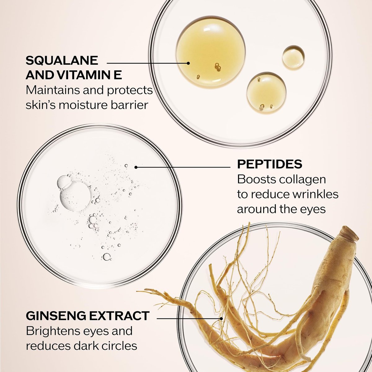 Shiseido Benefiance Wrinkle Smoothing Eye Cream – 15 mL – Visibly Improves Five Types of Eye Wrinkles, Dark Circles & Puffiness – 48-Hour Hydration – All Skin Types – Non-Comedogenic Avelisse