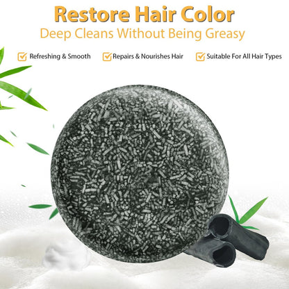 TPTAL Gray Reverse Bar - Natural Hair Darkening Shampoo Bar for Gray Hair Coverage (2-Pack)
