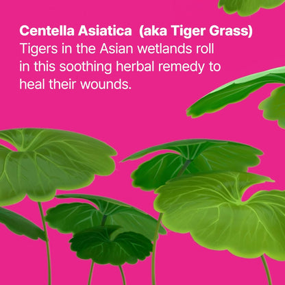 Dr.Jart+ Cicapair Tiger Grass Camo Drops Tinted Serum SPF 35 with Centella Asiatica | Skin Tint | Korean Skin Care Makeup Hybrid, 1.01 Fl Oz Avelisse