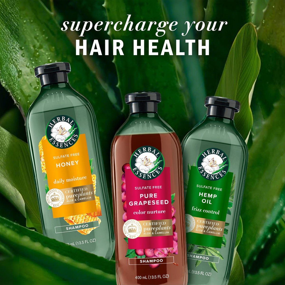 Herbal Essences Pure Grapeseed Color Nurture Sulfate Free Shampoo - 13.5 fl oz | Hair Protection & Color Nourishment - görsel 11
