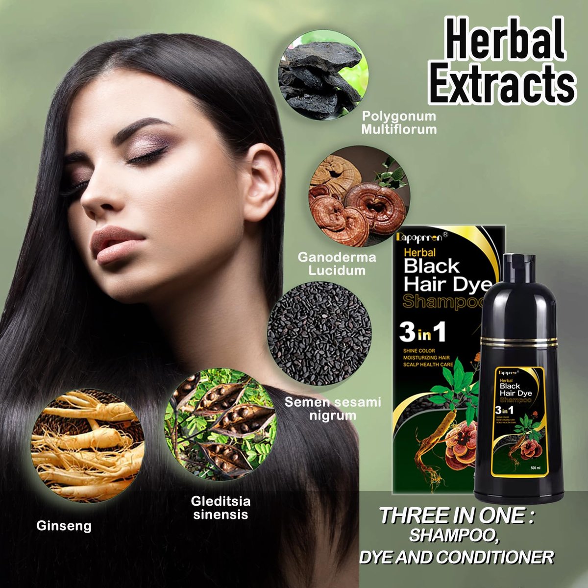 Dapoprren Black Hair Dye Shampoo 3 in 1 - Natural Gray Hair Coverage for Women and Men, Herbal Shampoo 500ml/17 Oz Avelisse
