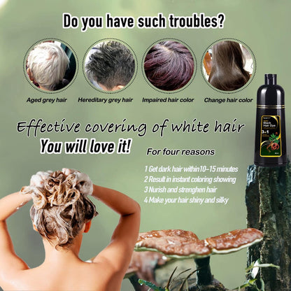 Dapoprren Black Hair Dye Shampoo 3 in 1 - Natural Gray Hair Coverage for Women and Men, Herbal Shampoo 500ml/17 Oz Avelisse